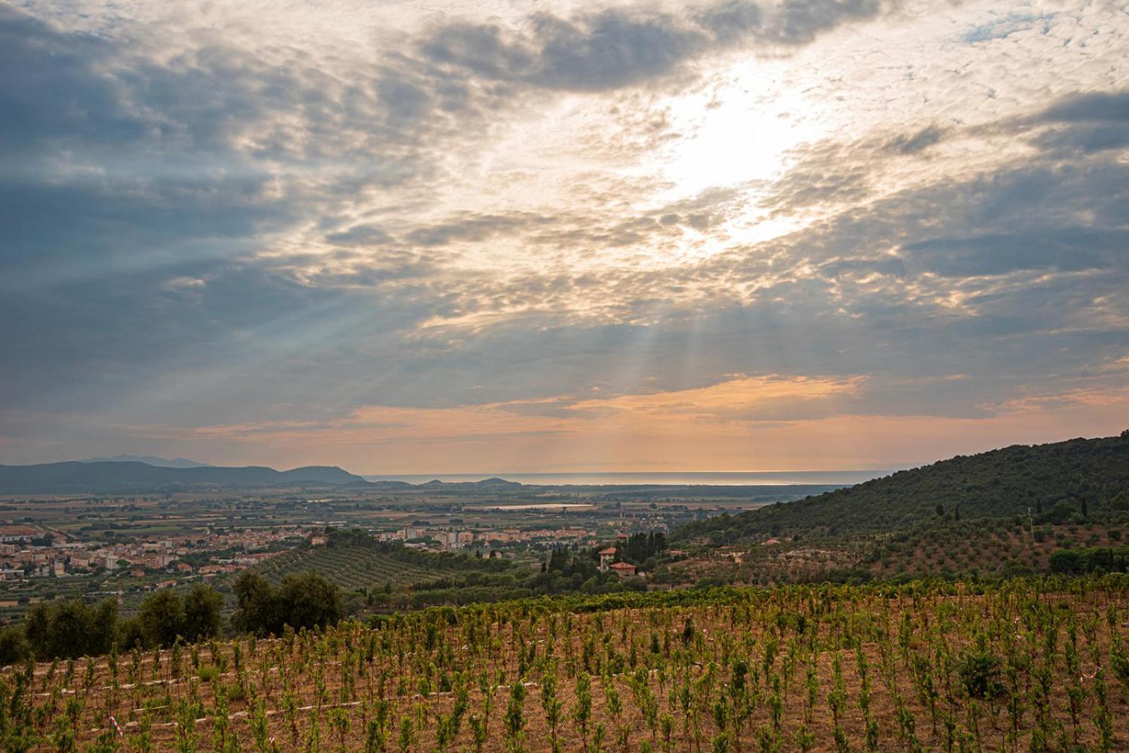 Castello Bonaria Wine & Spa Resort Campiglia Marittima Bagian luar foto